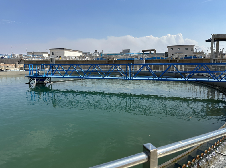 辽宁某污水处理厂除氟项目