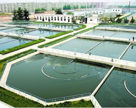 聊城某污水处理厂含磷废水处理现场