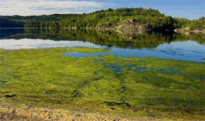 图片1 - 副本.png