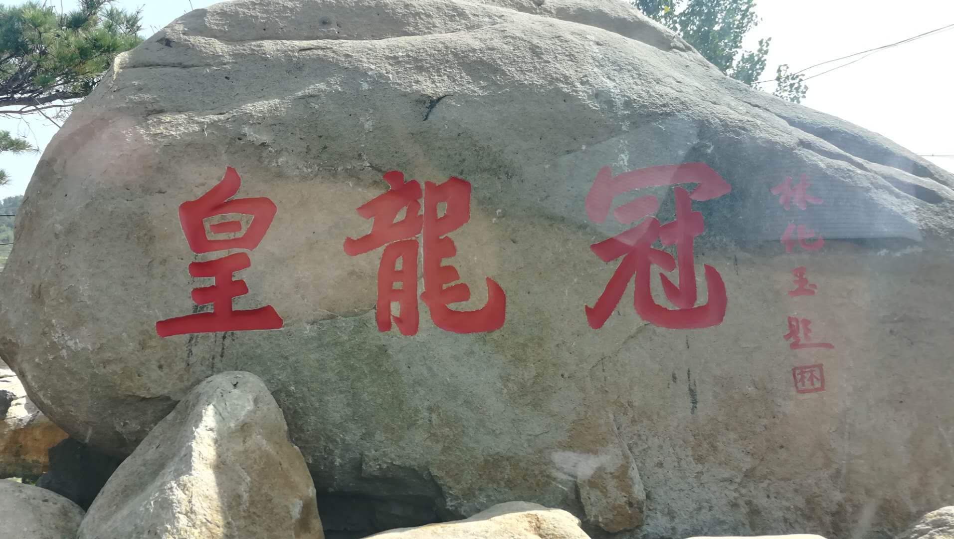 皇龙冠.jpg 皇龙冠.jpg